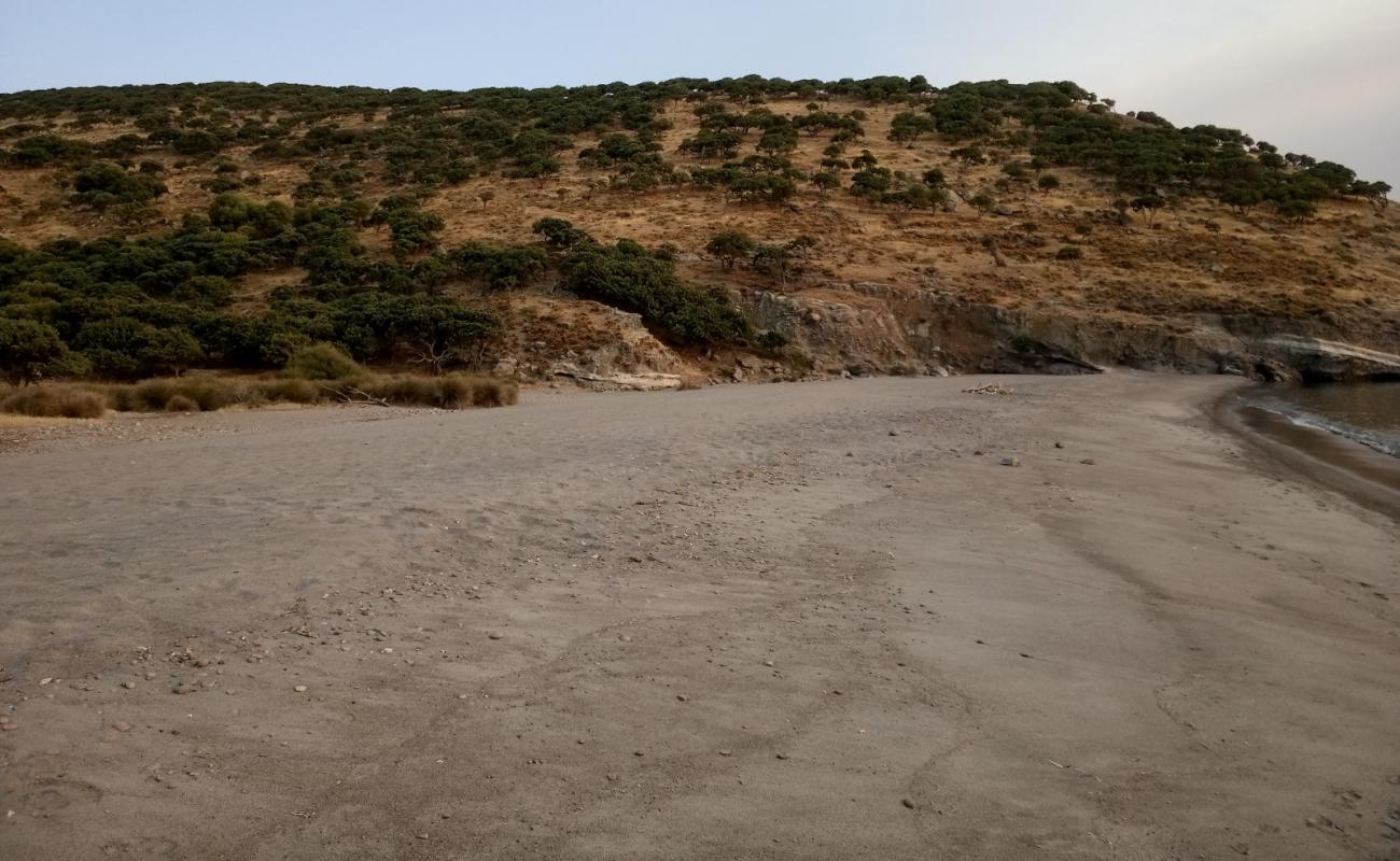 Agios Dimitrios beach II'in fotoğrafı gri kum yüzey ile