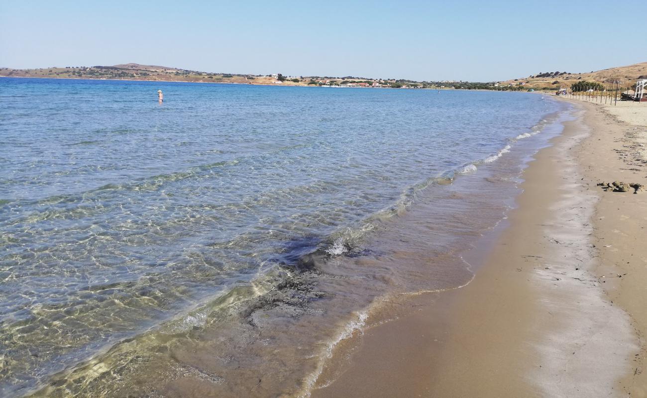 Kotsinas beach'in fotoğrafı parlak ince kum yüzey ile