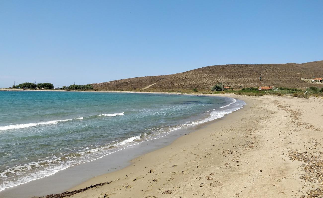 Neftina beach'in fotoğrafı i̇nce kahverengi kum yüzey ile