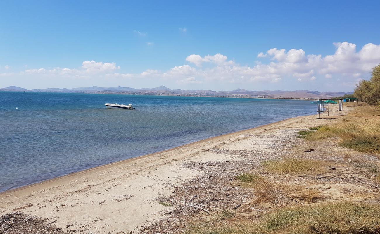 Paralia Lichnon'in fotoğrafı parlak kum yüzey ile