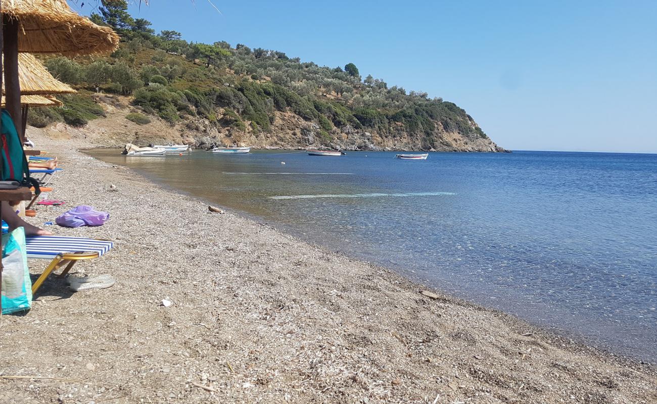 Paralia Ag. Ermogenis II'in fotoğrafı çakıl ile kum yüzey ile