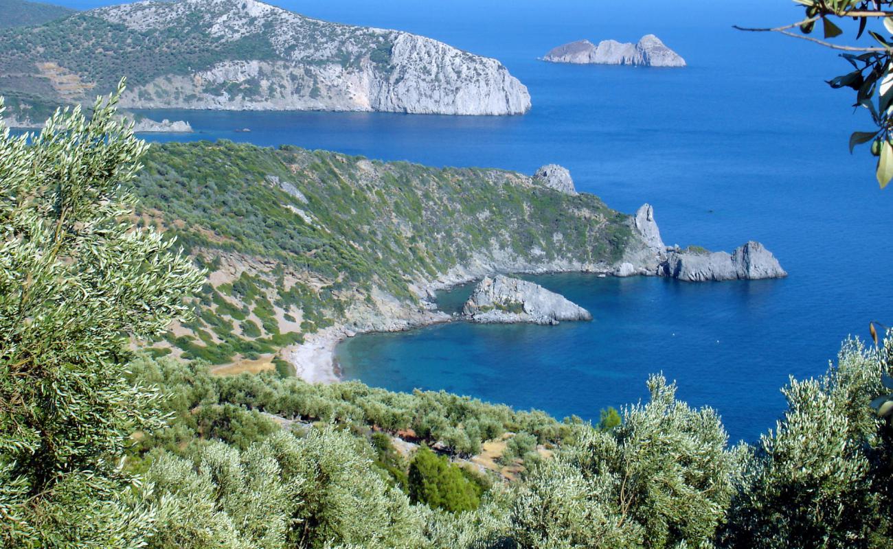 Tarti beach III'in fotoğrafı bej kum ve çakıl yüzey ile