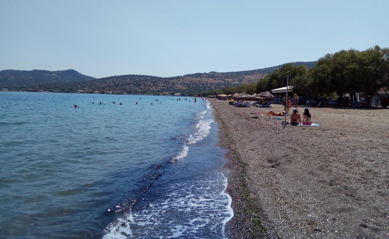 Nyphida beach'in fotoğrafı hafif çakıl yüzey ile