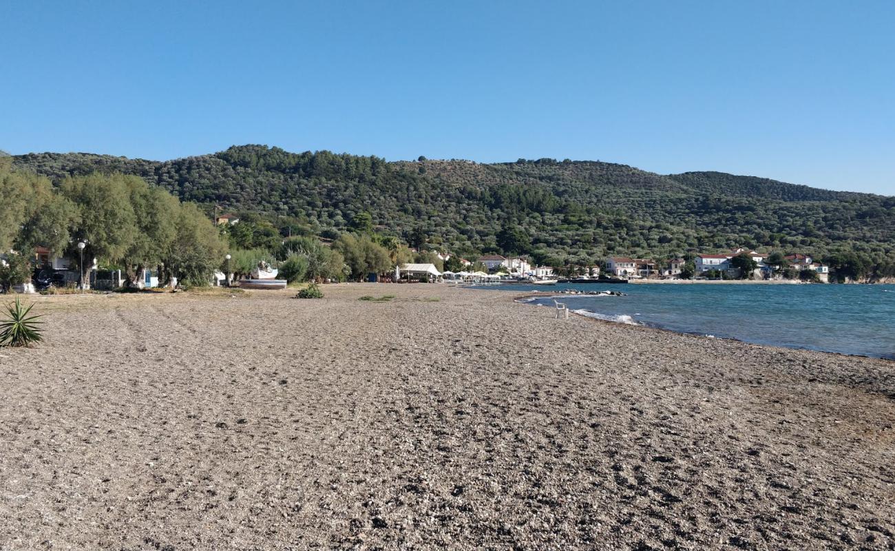 Paralia Skala Polichnitou'in fotoğrafı çakıl ile kum yüzey ile