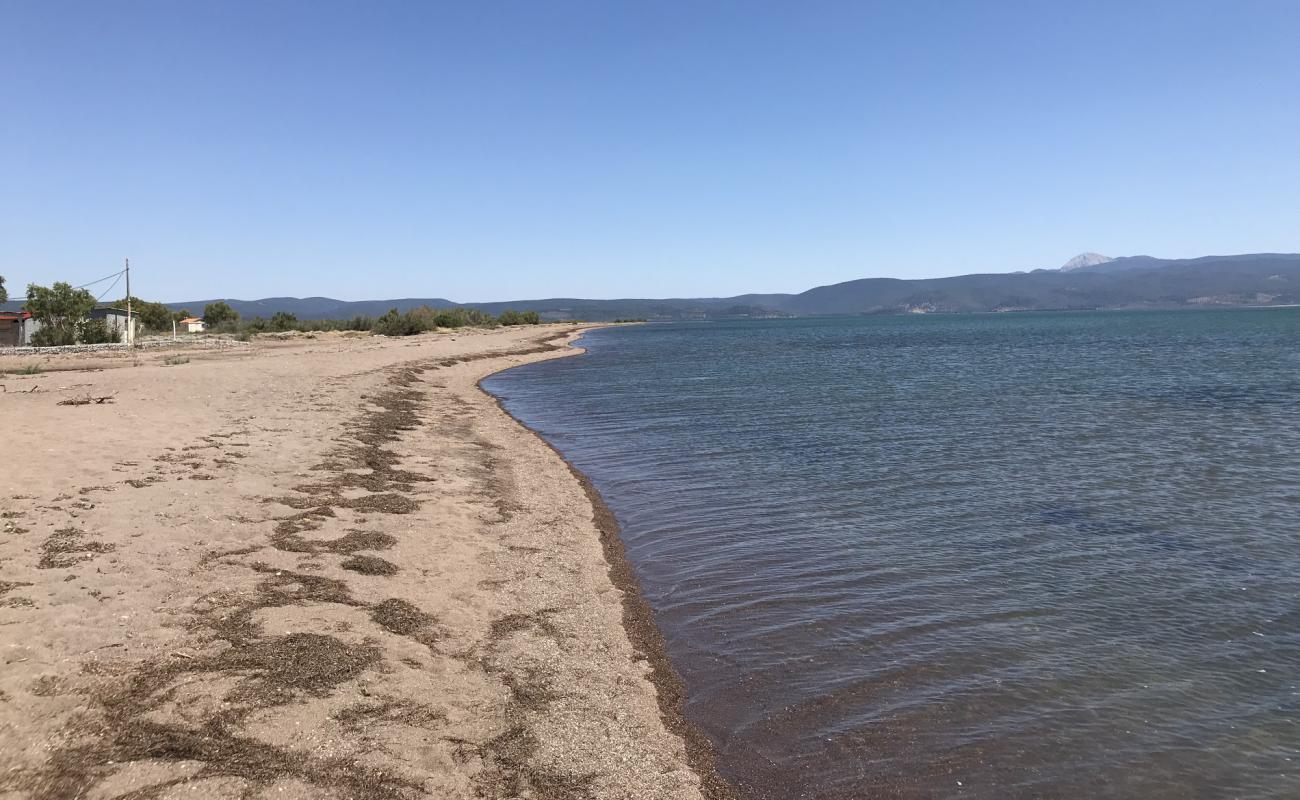 Kalloni beach'in fotoğrafı kahverengi kum yüzey ile