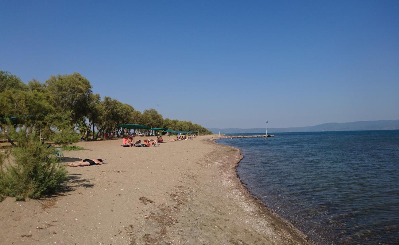 Kalloni beach II'in fotoğrafı parlak kum yüzey ile