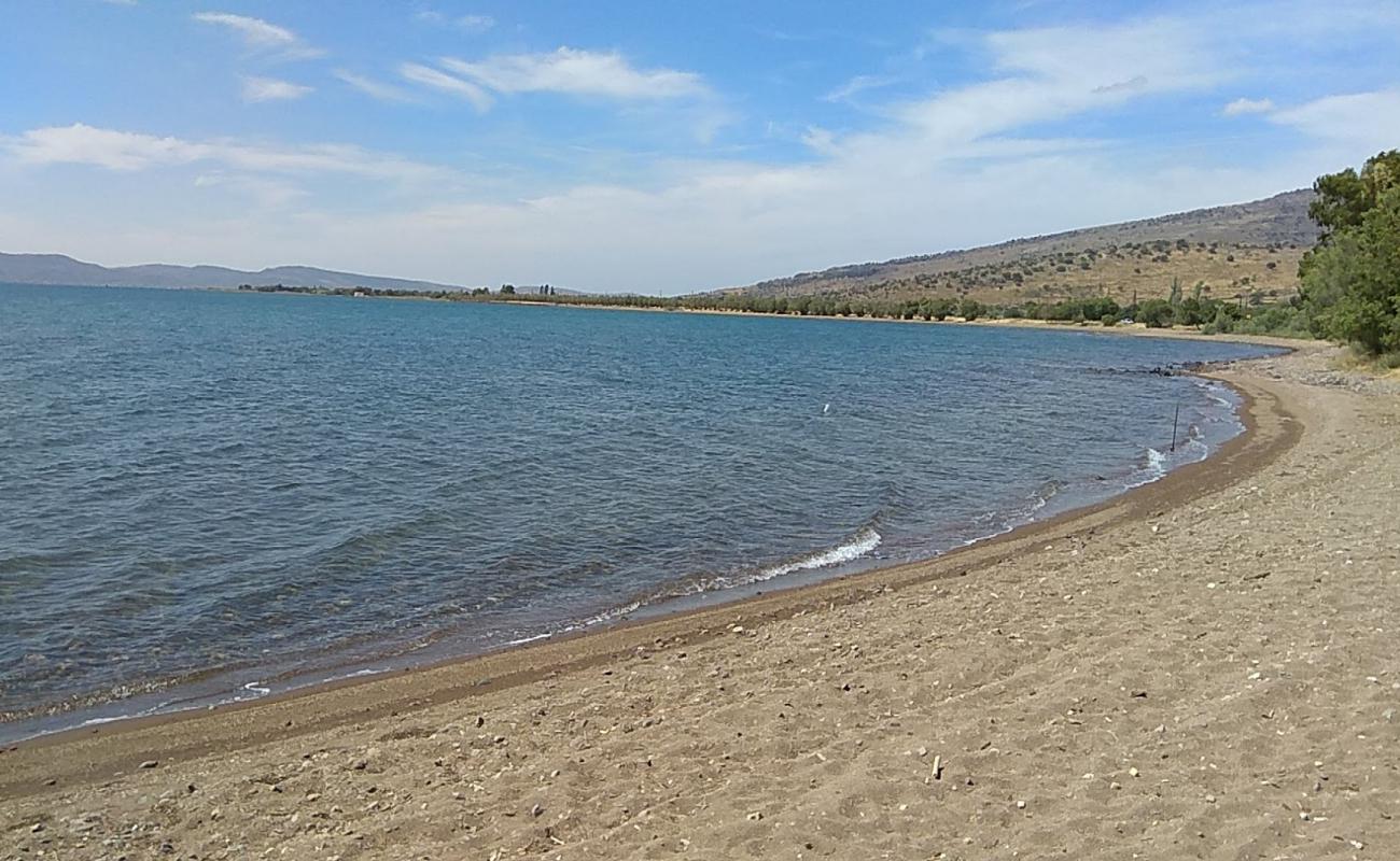 Parakila beach'in fotoğrafı kahverengi kum yüzey ile