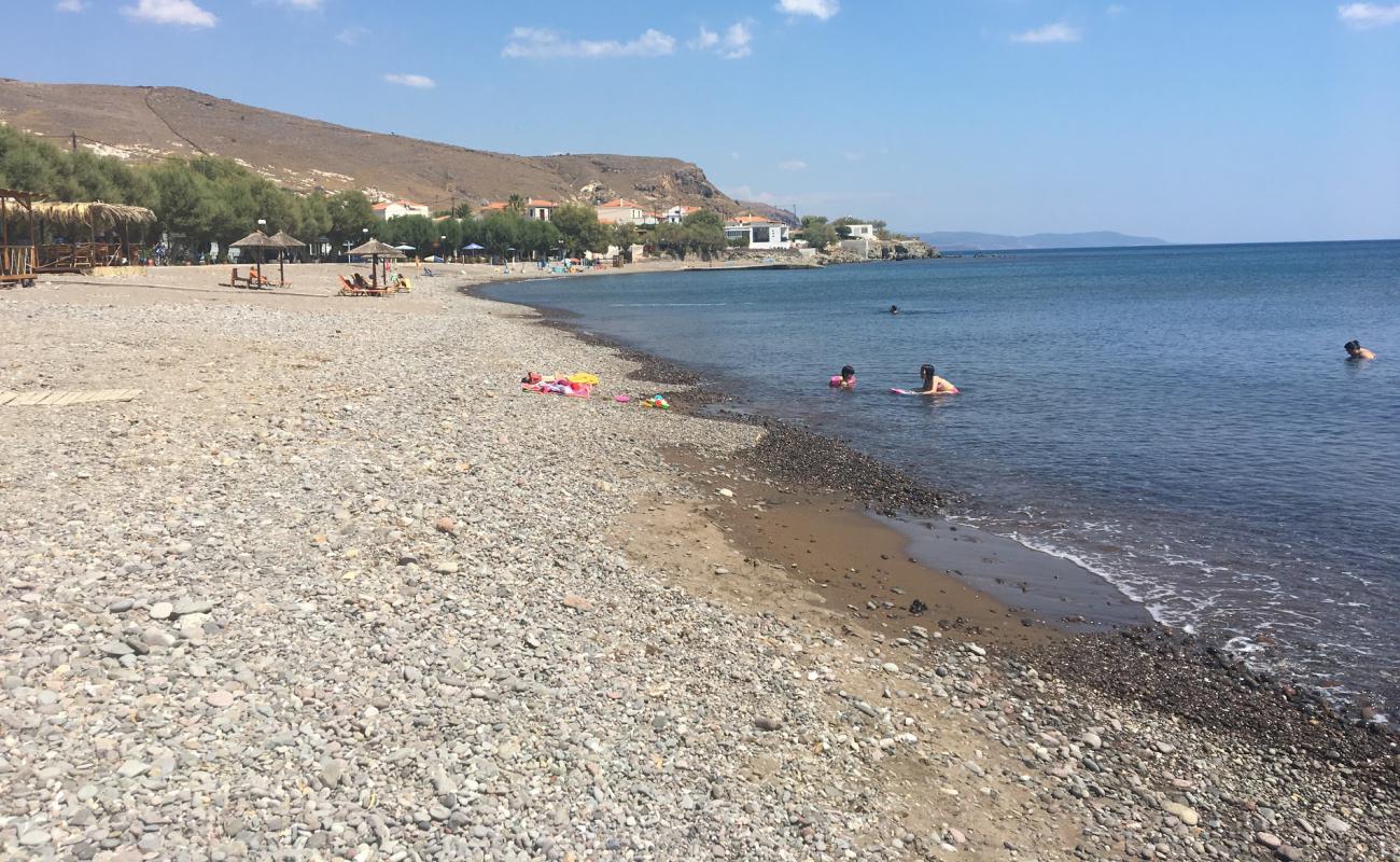 Paralia Tavari'in fotoğrafı parlak kum yüzey ile