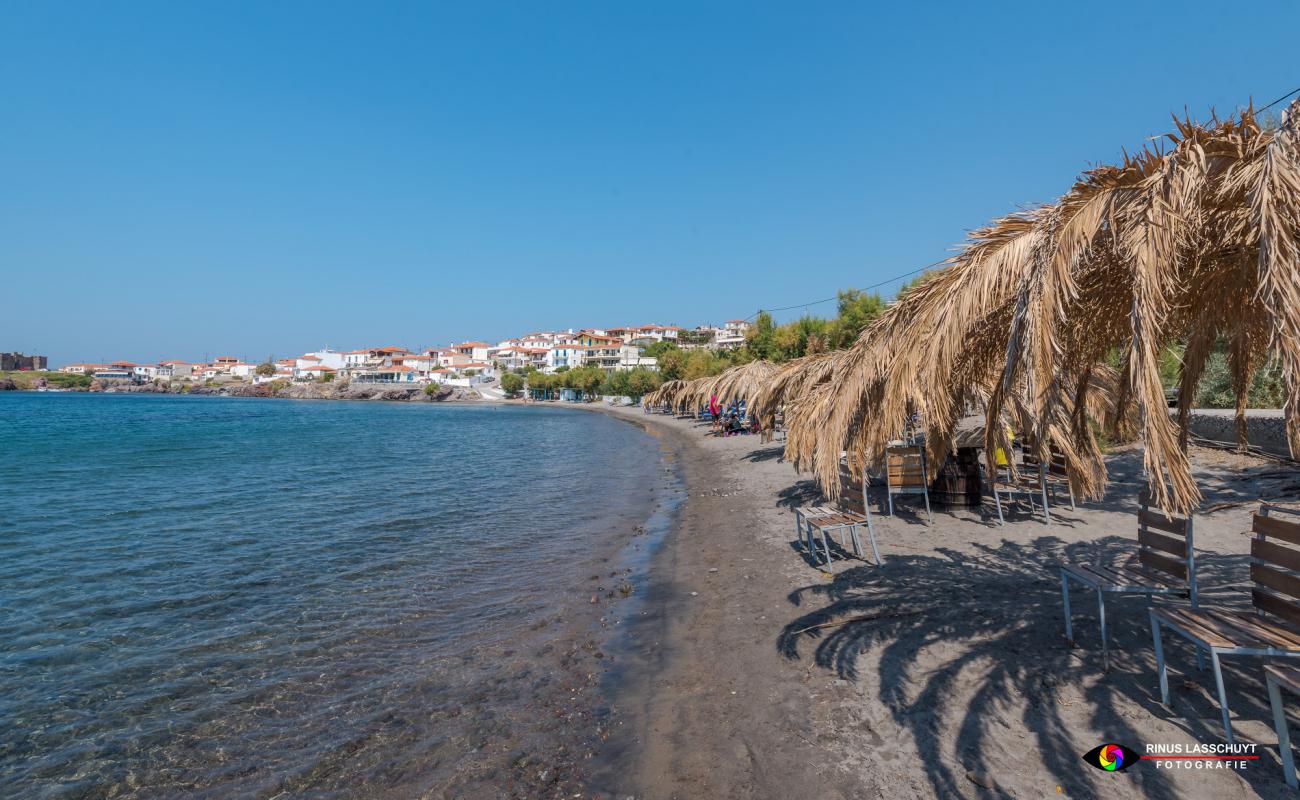Sigri beach'in fotoğrafı kahverengi kum yüzey ile