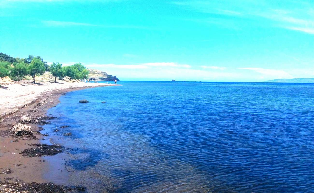 Agia Varvara beach'in fotoğrafı parlak kum ve kayalar yüzey ile