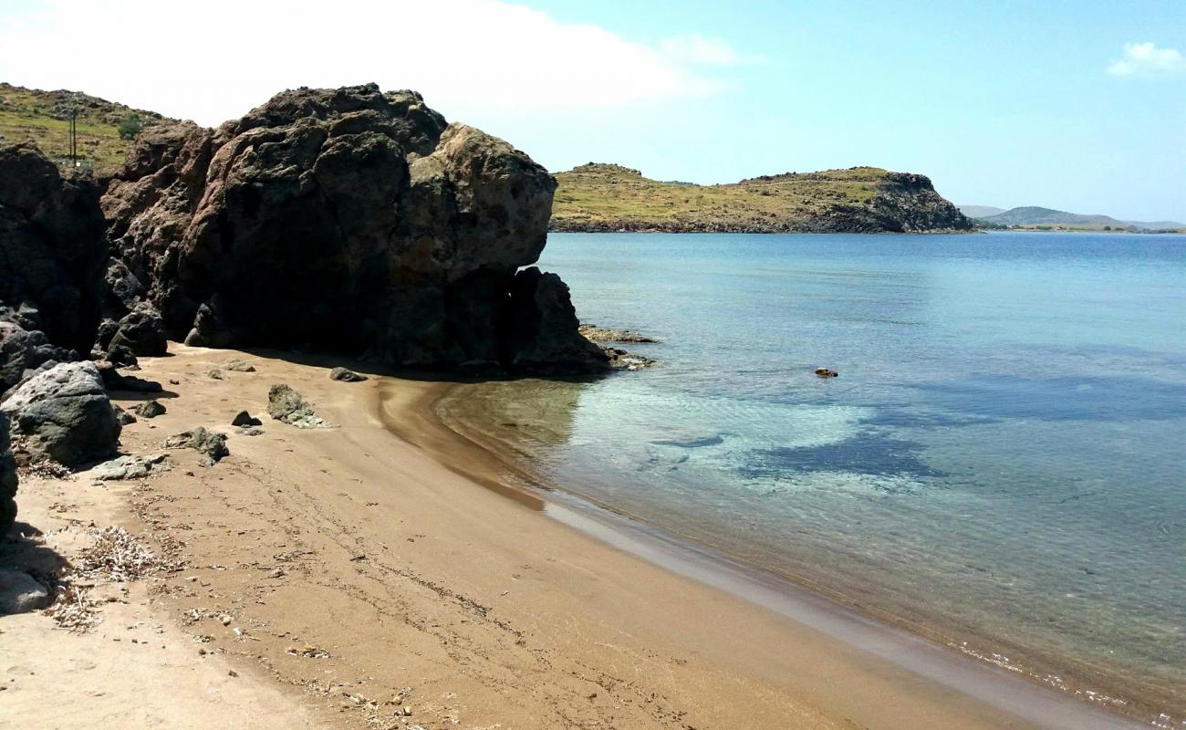 Good Harbor beach'in fotoğrafı açık bej kum yüzey ile