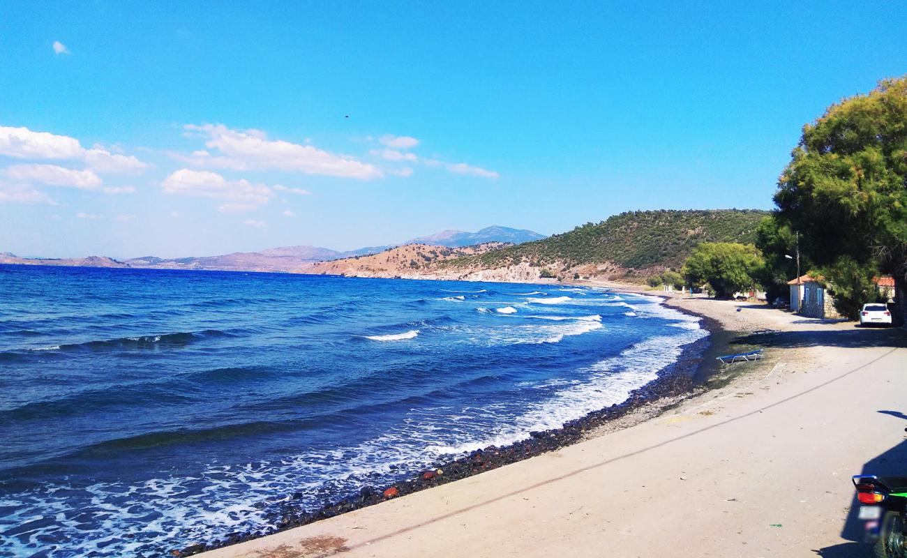 Paralia Tsichranta'in fotoğrafı hafif çakıl yüzey ile