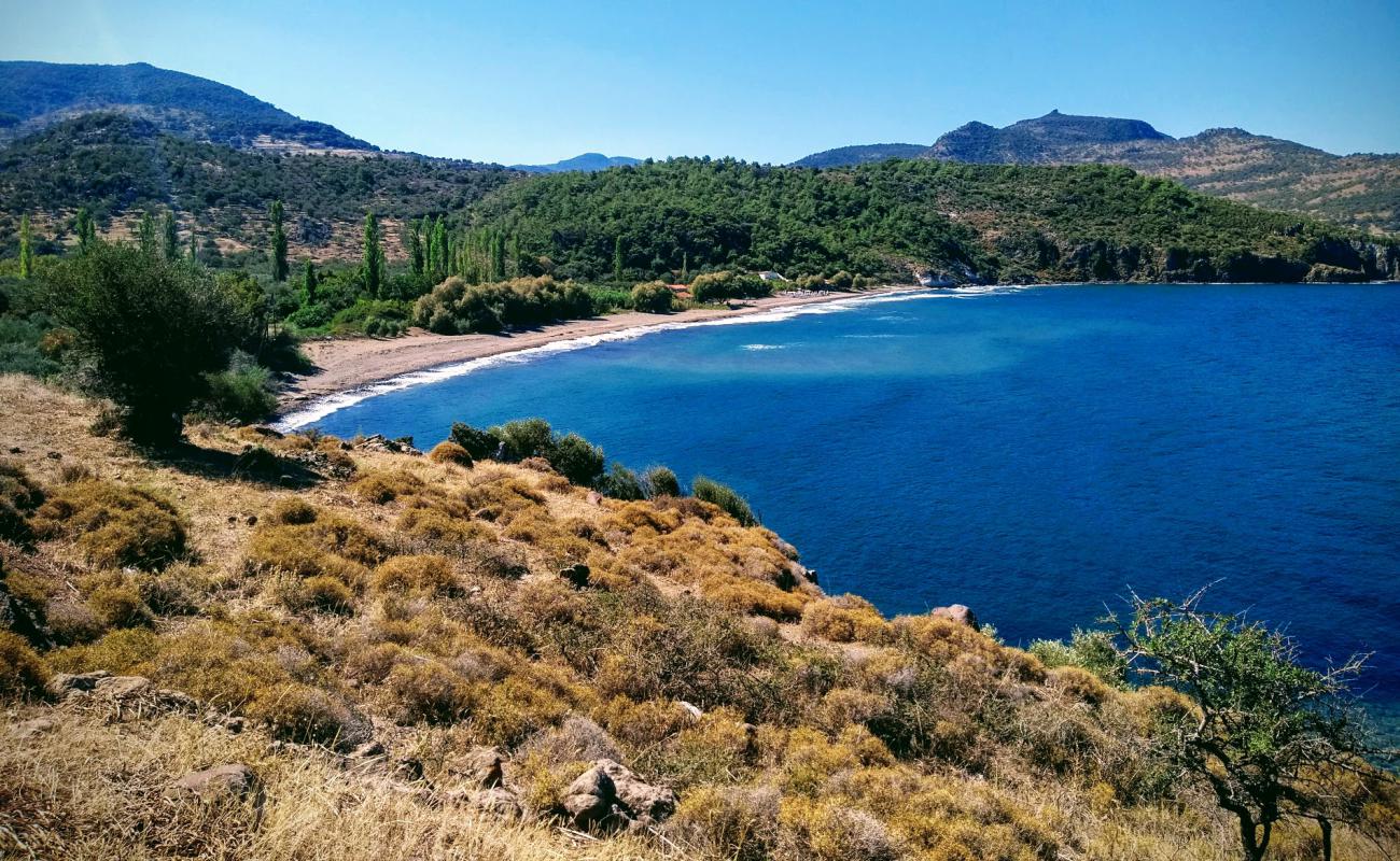Paralia Ampelia'in fotoğrafı bej kum ve kayalar yüzey ile