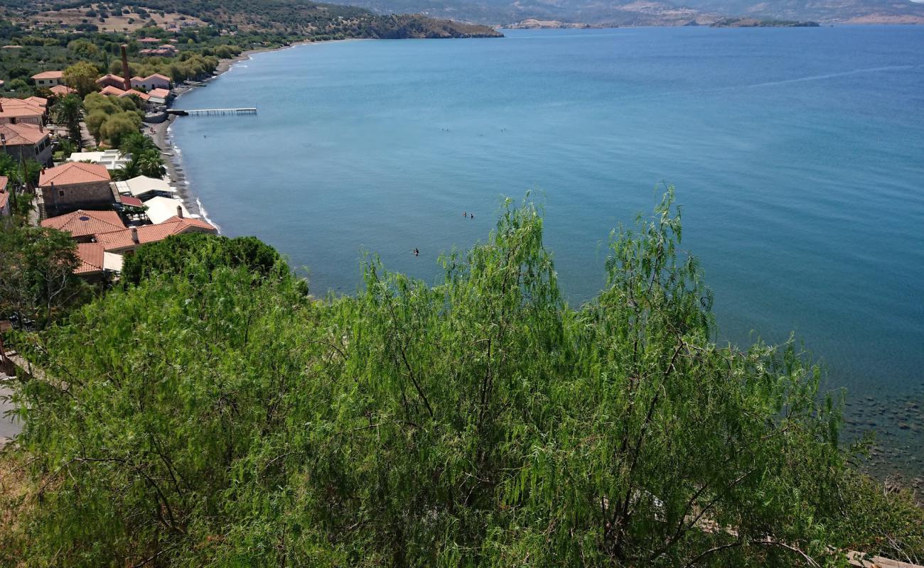 Delfinia Plajı'in fotoğrafı çakıl ile kum yüzey ile