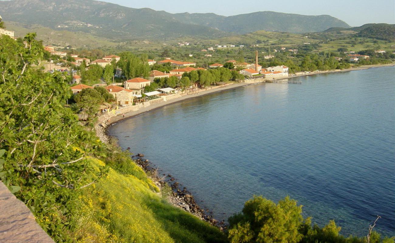 Paralia Molivos'in fotoğrafı bej kum ve çakıl yüzey ile