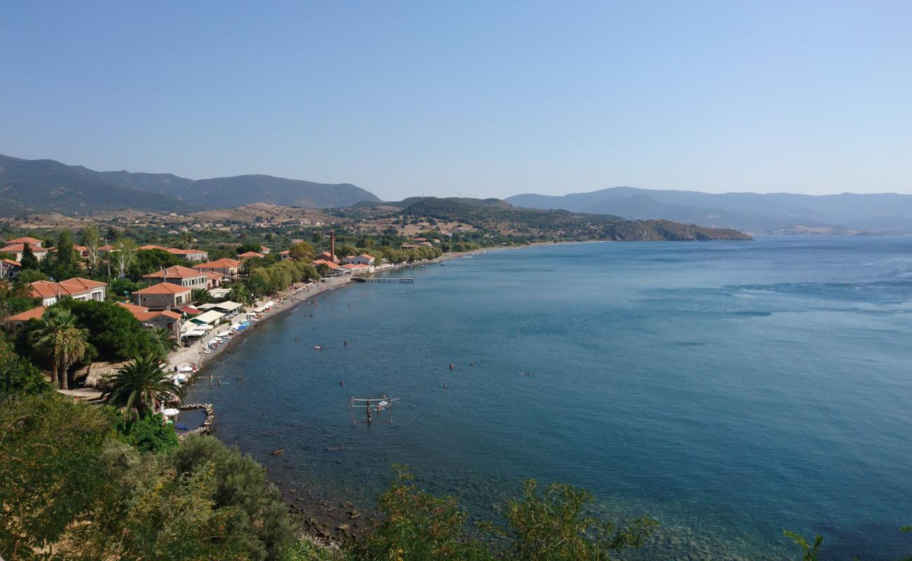 Delfinia beach II'in fotoğrafı küçük bej çakıl yüzey ile