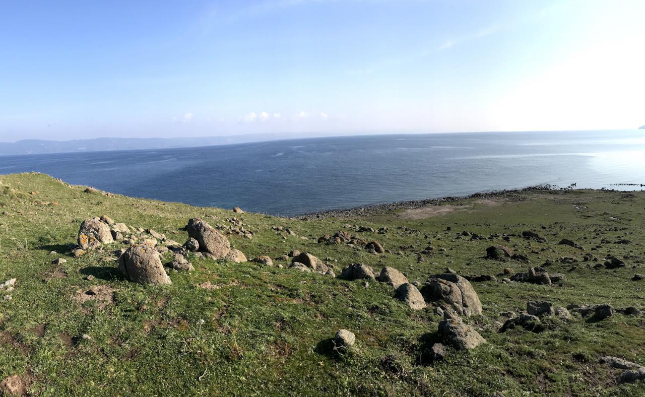 Lighthouse beach'in fotoğrafı kayalık arazi yüzey ile