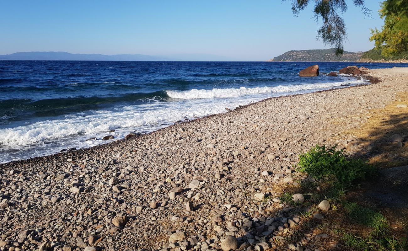 Skala Sikamineas'in fotoğrafı taşlar yüzey ile