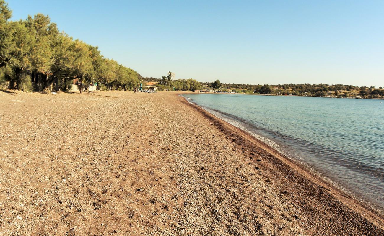 Paralia Tsonia'in fotoğrafı siyah kum ve çakıl yüzey ile