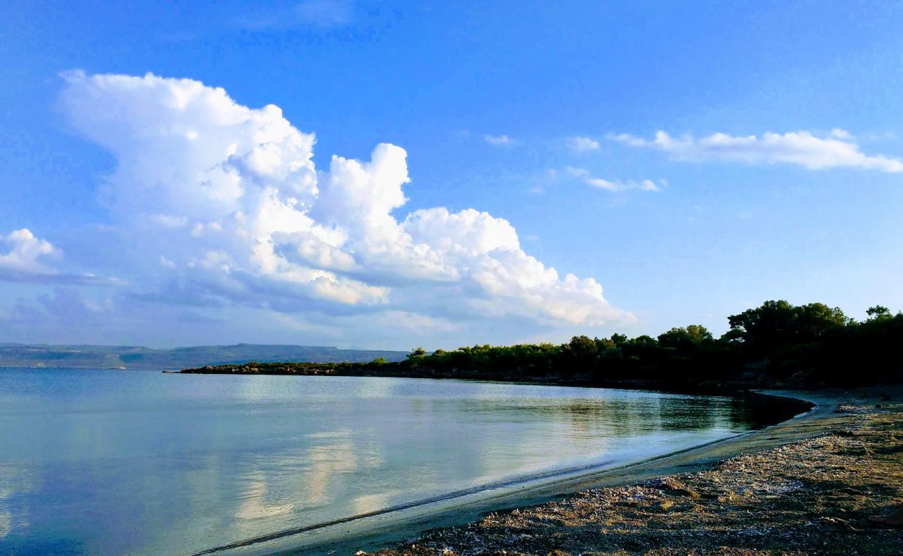 Golden sand'in fotoğrafı açık bej kum yüzey ile