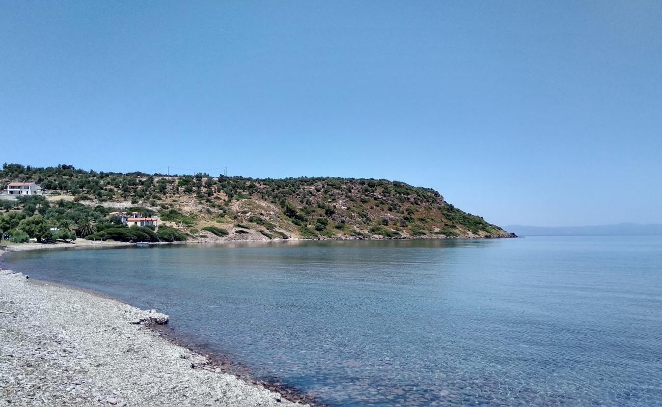 Xampelia Plajı'in fotoğrafı hafif çakıl yüzey ile