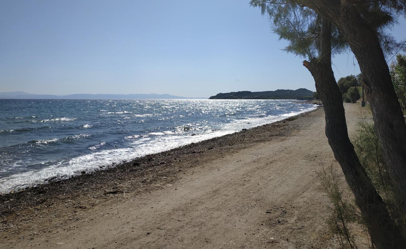 Kanoni beach'in fotoğrafı çakıl ile kum yüzey ile