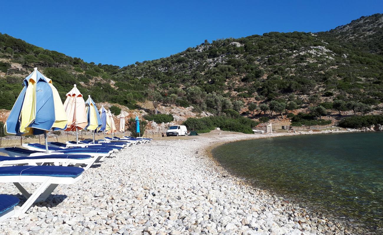 Gerakas beach'in fotoğrafı taşlar yüzey ile