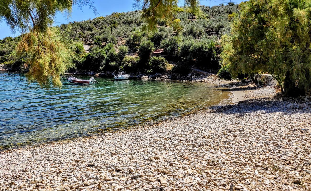 Steni Vala beach'in fotoğrafı gri çakıl taşı yüzey ile