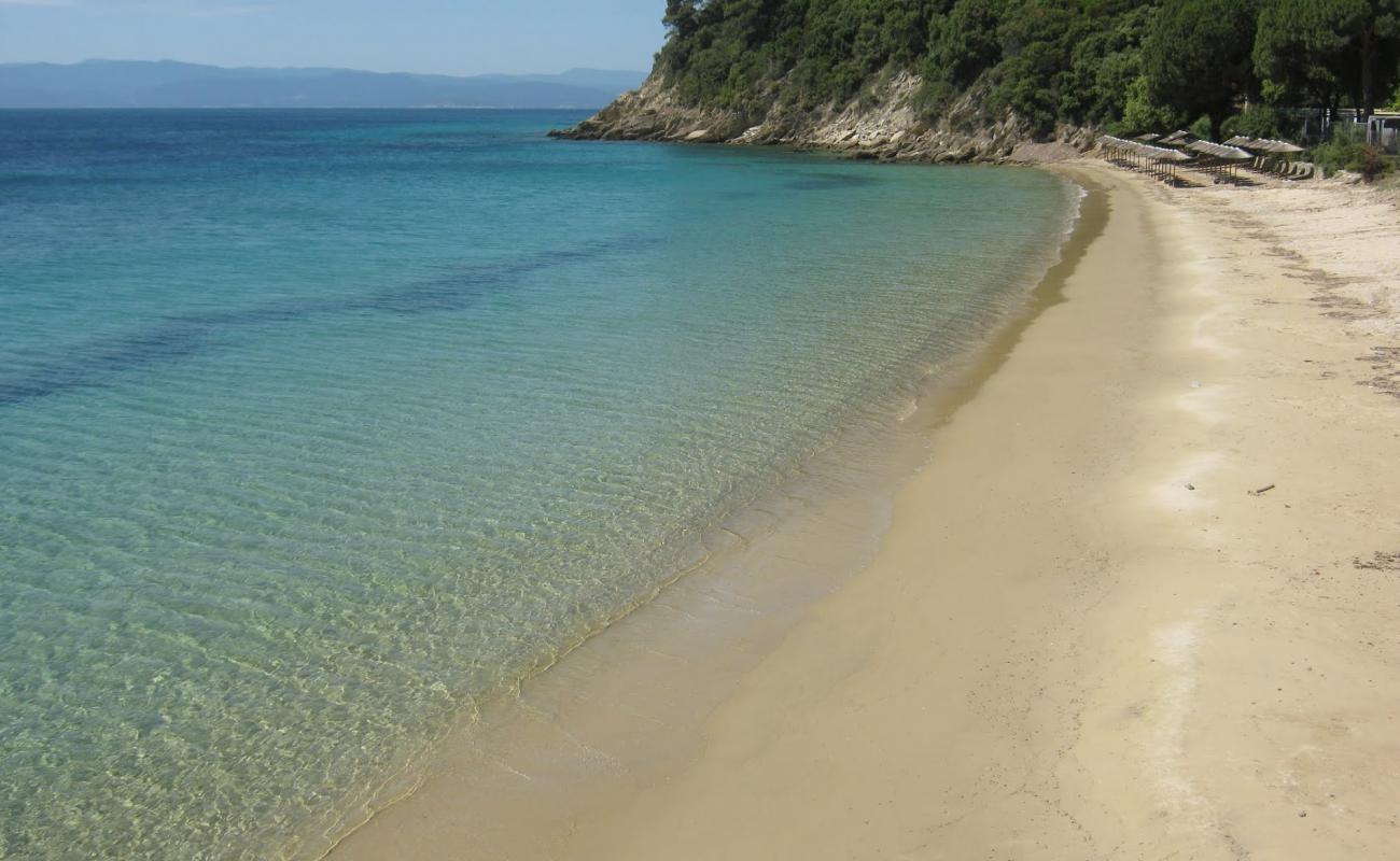 Xenia beach'in fotoğrafı gri kum yüzey ile