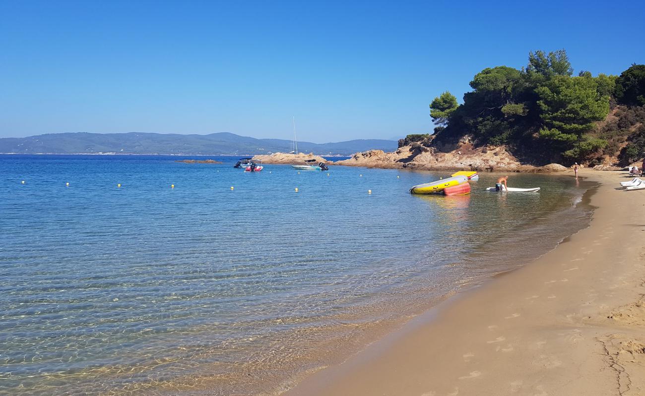 Banana beach'in fotoğrafı parlak ince kum yüzey ile