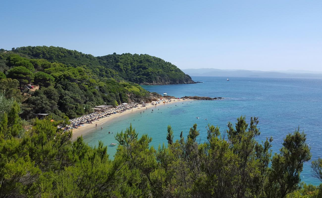 Little Banana beach'in fotoğrafı parlak ince kum yüzey ile