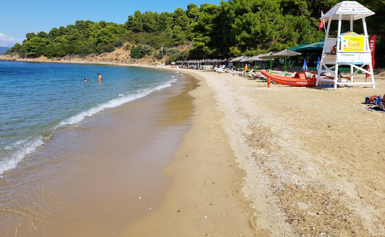 Agia Eleni Plajı'in fotoğrafı gri kum ve çakıl yüzey ile