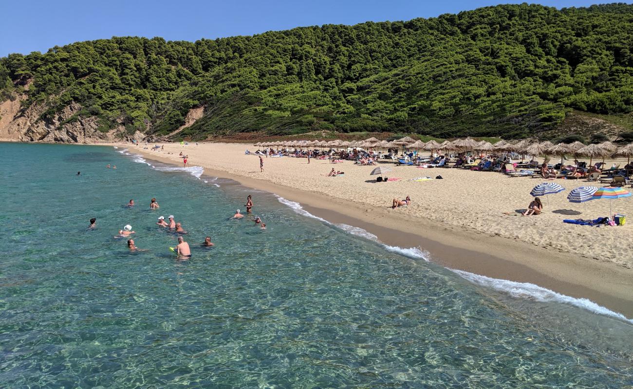 Paralia Megalos Aselinos'in fotoğrafı gri kum yüzey ile