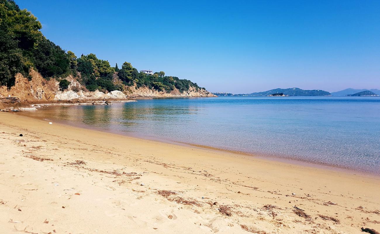 Prokuplje beach'in fotoğrafı parlak kum yüzey ile