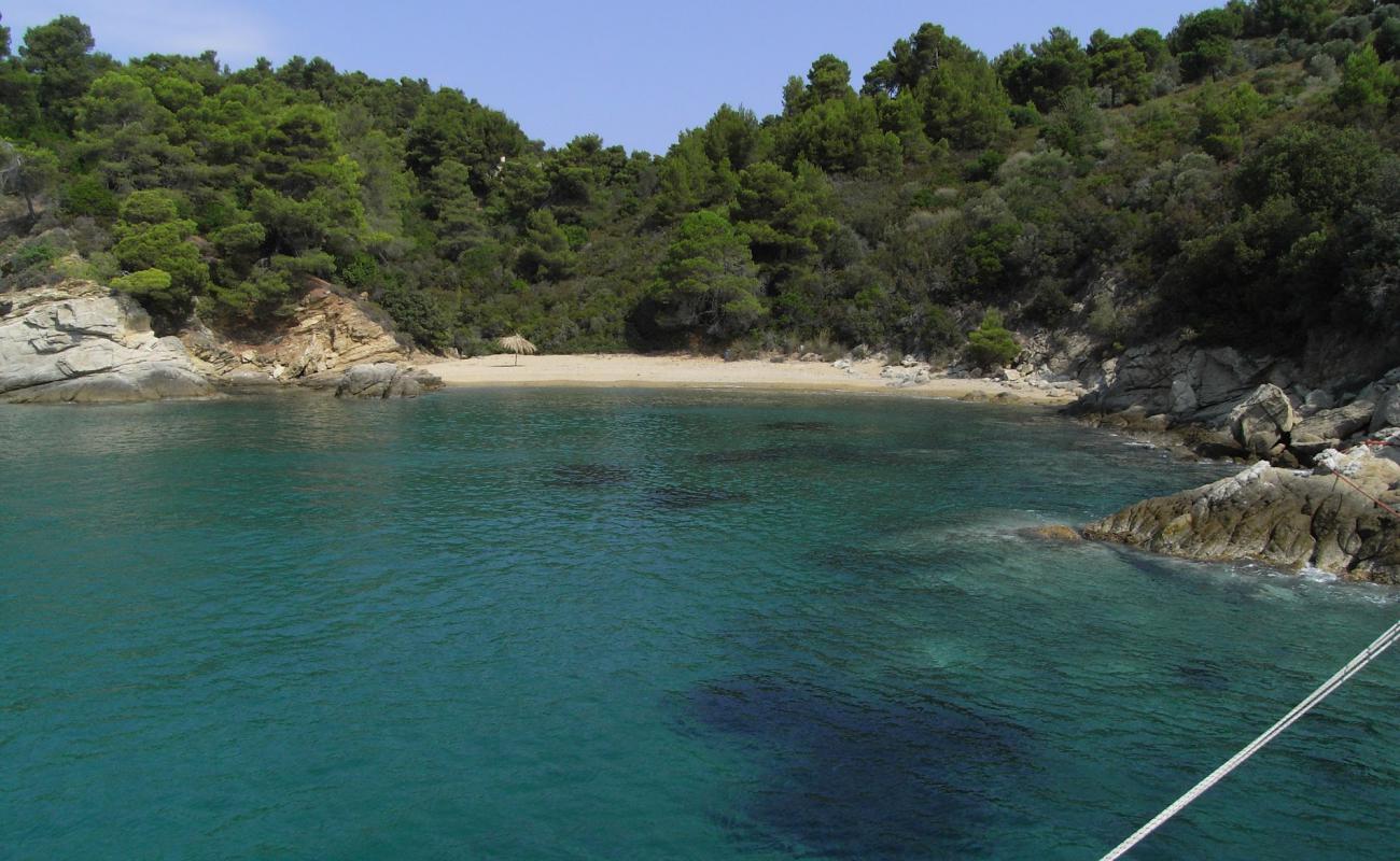 Skiathos beach II'in fotoğrafı açık bej kum yüzey ile