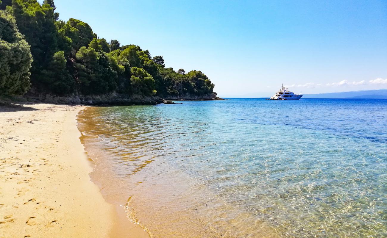 Katharina beach'in fotoğrafı açık bej kum yüzey ile