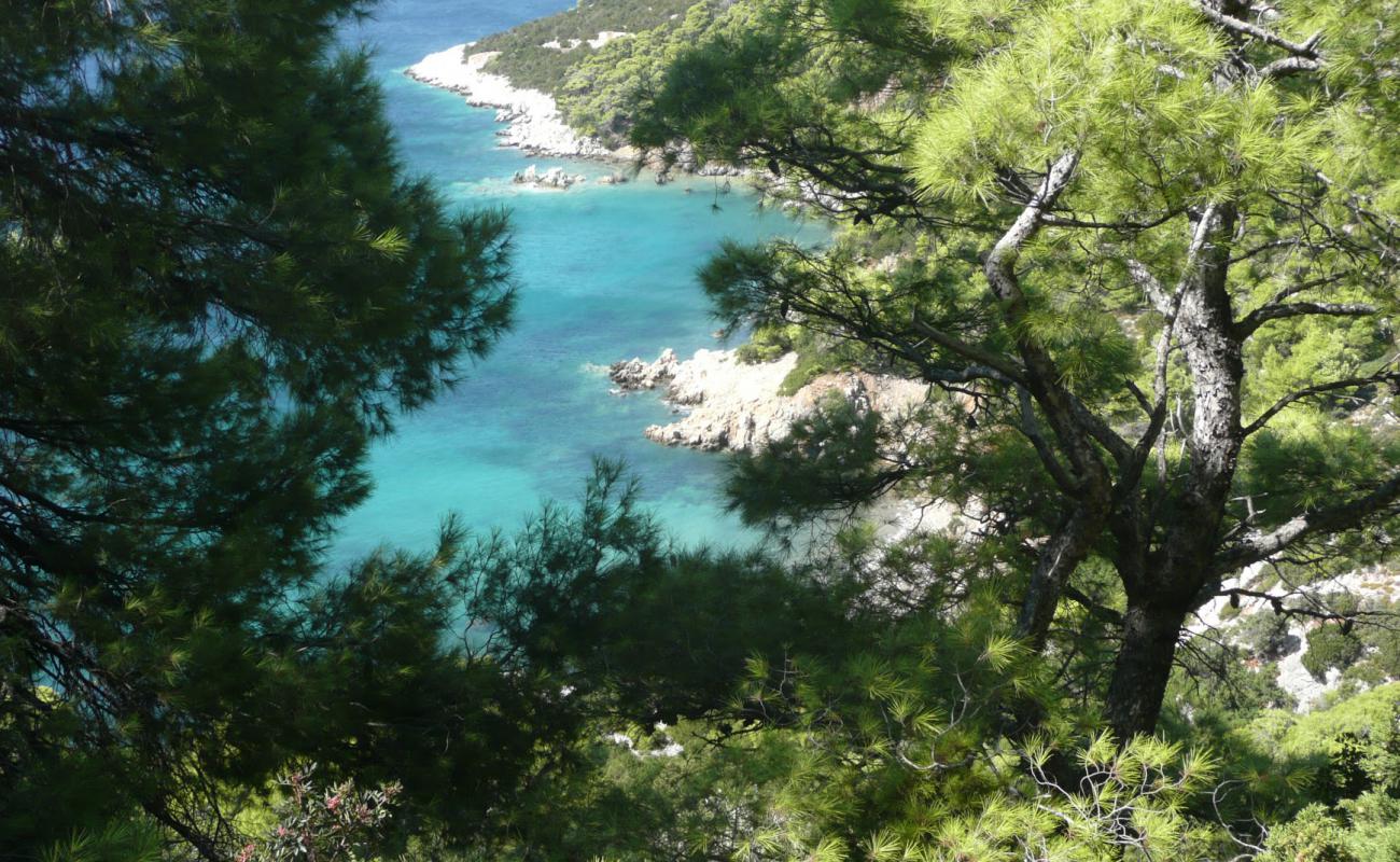 Skiros beach'in fotoğrafı hafif çakıl yüzey ile