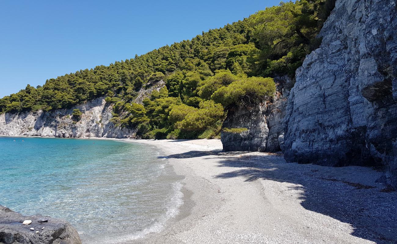 Skopelos beach'in fotoğrafı gri ince çakıl taş yüzey ile