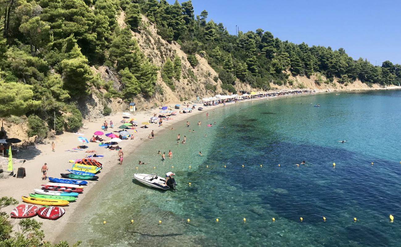 Stafilos beach'in fotoğrafı koyu i̇nce çakıl yüzey ile