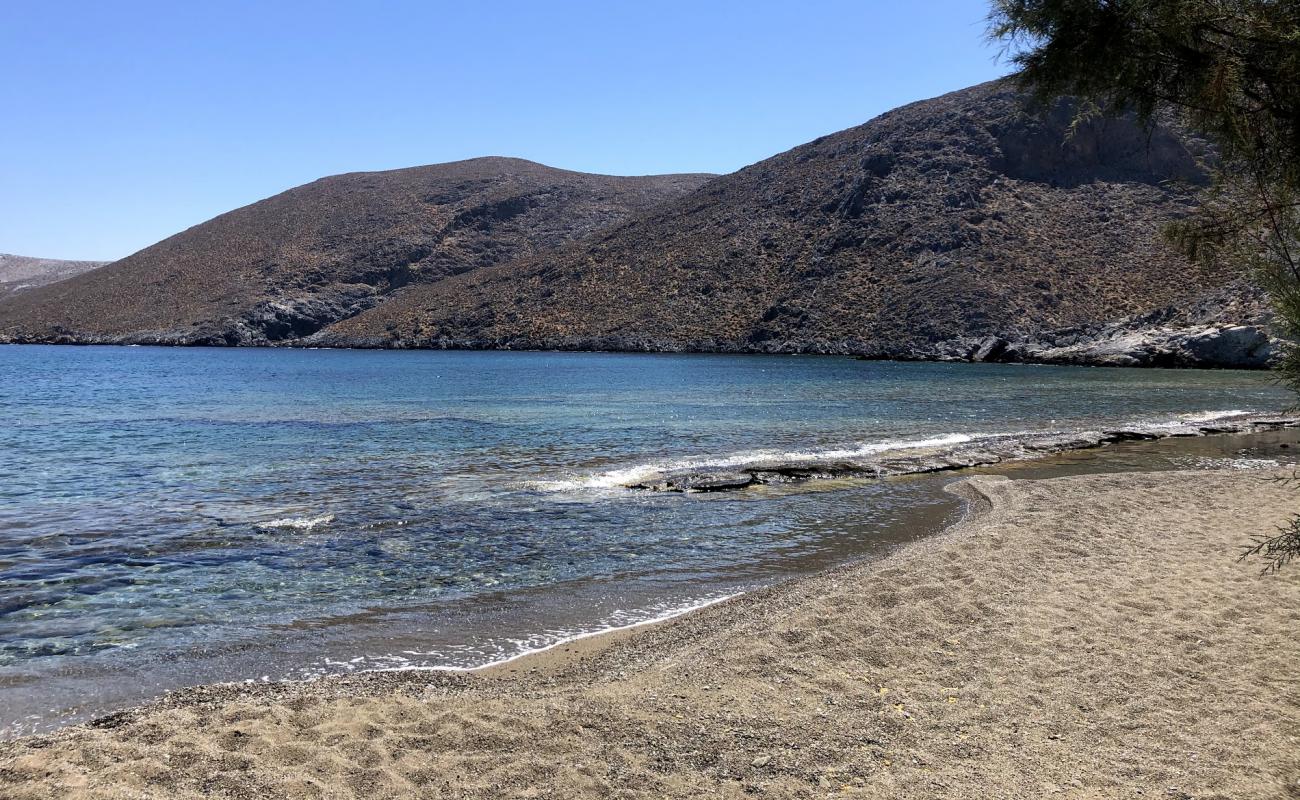 Paralia Panormos'in fotoğrafı bej kabuklu kum yüzey ile