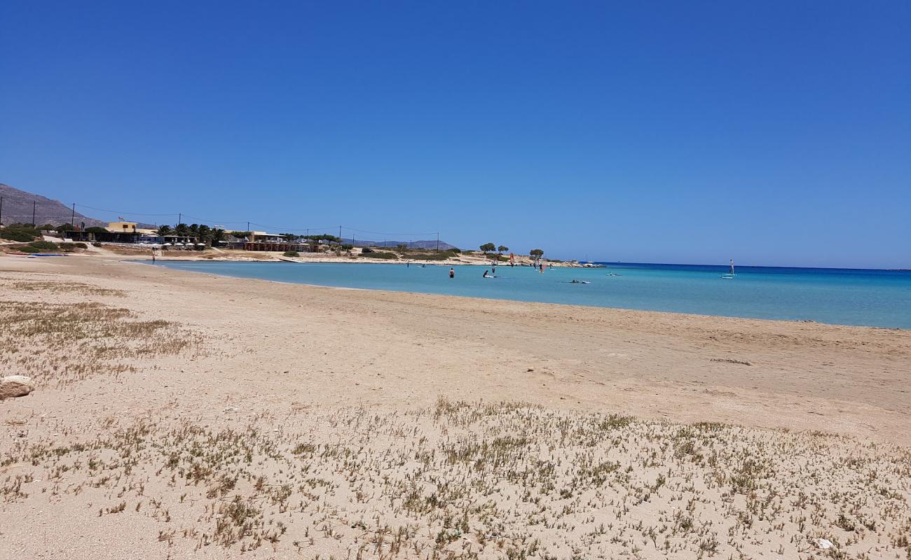 Chicken bay'in fotoğrafı kahverengi kum yüzey ile