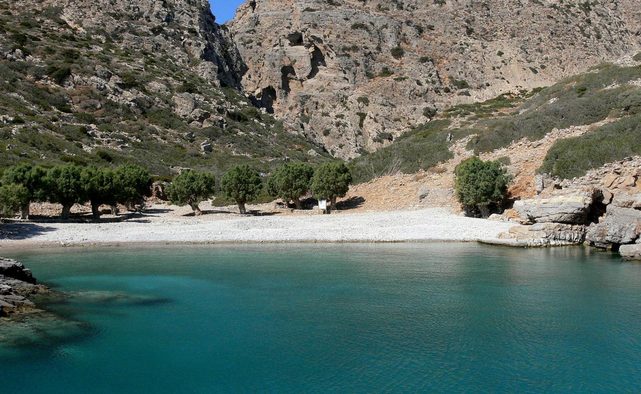 Saria beach'in fotoğrafı doğal alan içinde bulunmaktadır