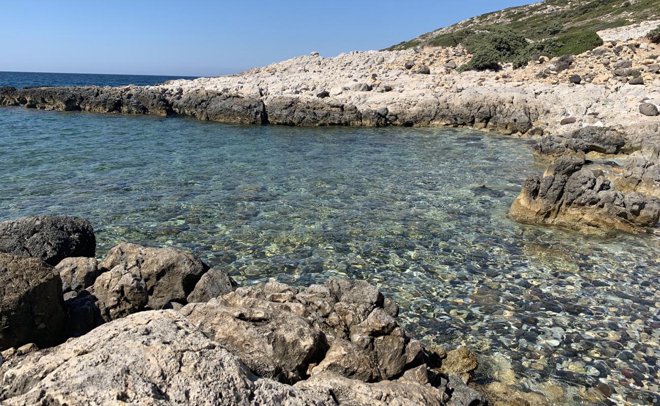 Eukaryotes cove beach'in fotoğrafı kayalık arazi yüzey ile