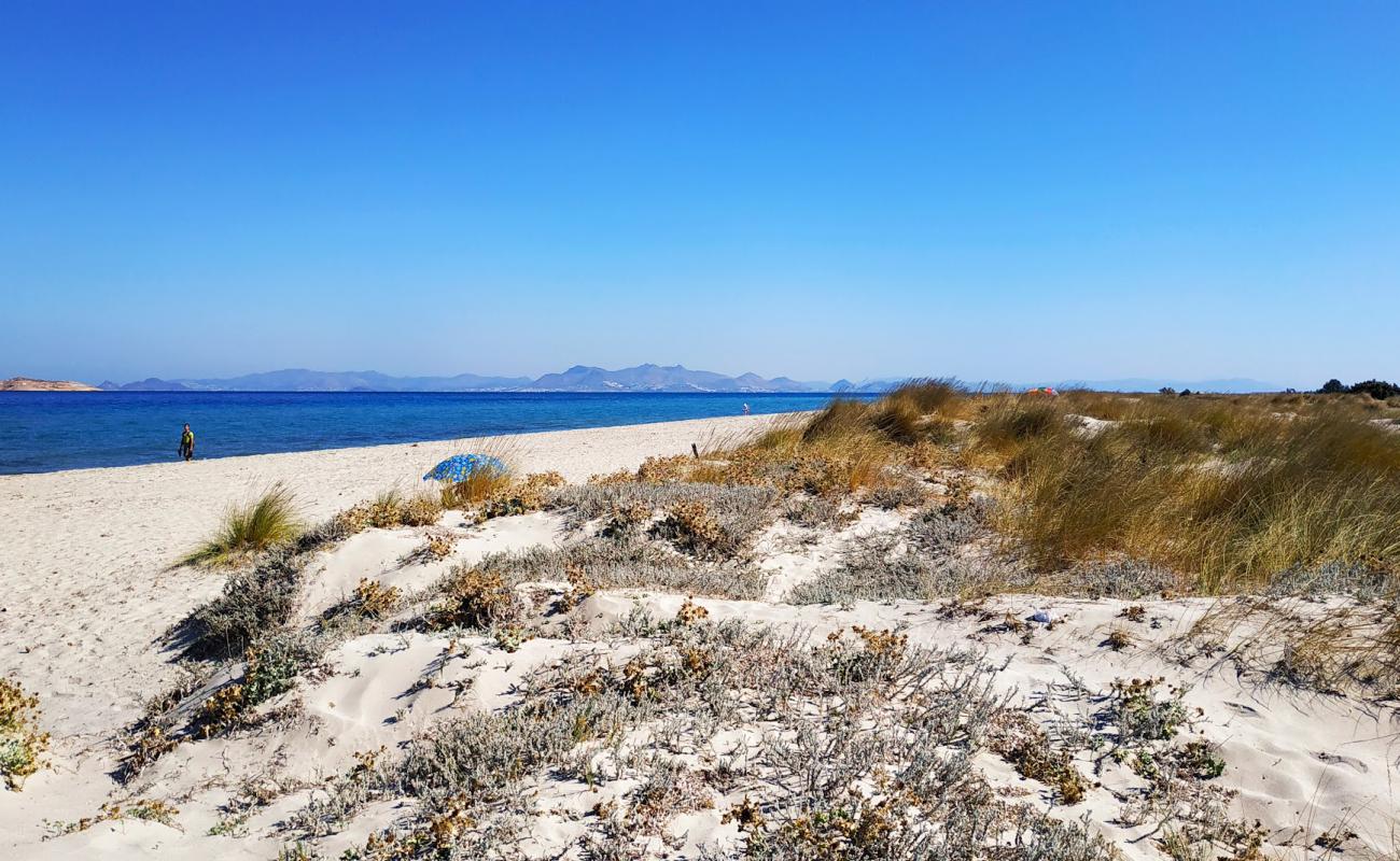 Golden beach'in fotoğrafı açık bej kum yüzey ile