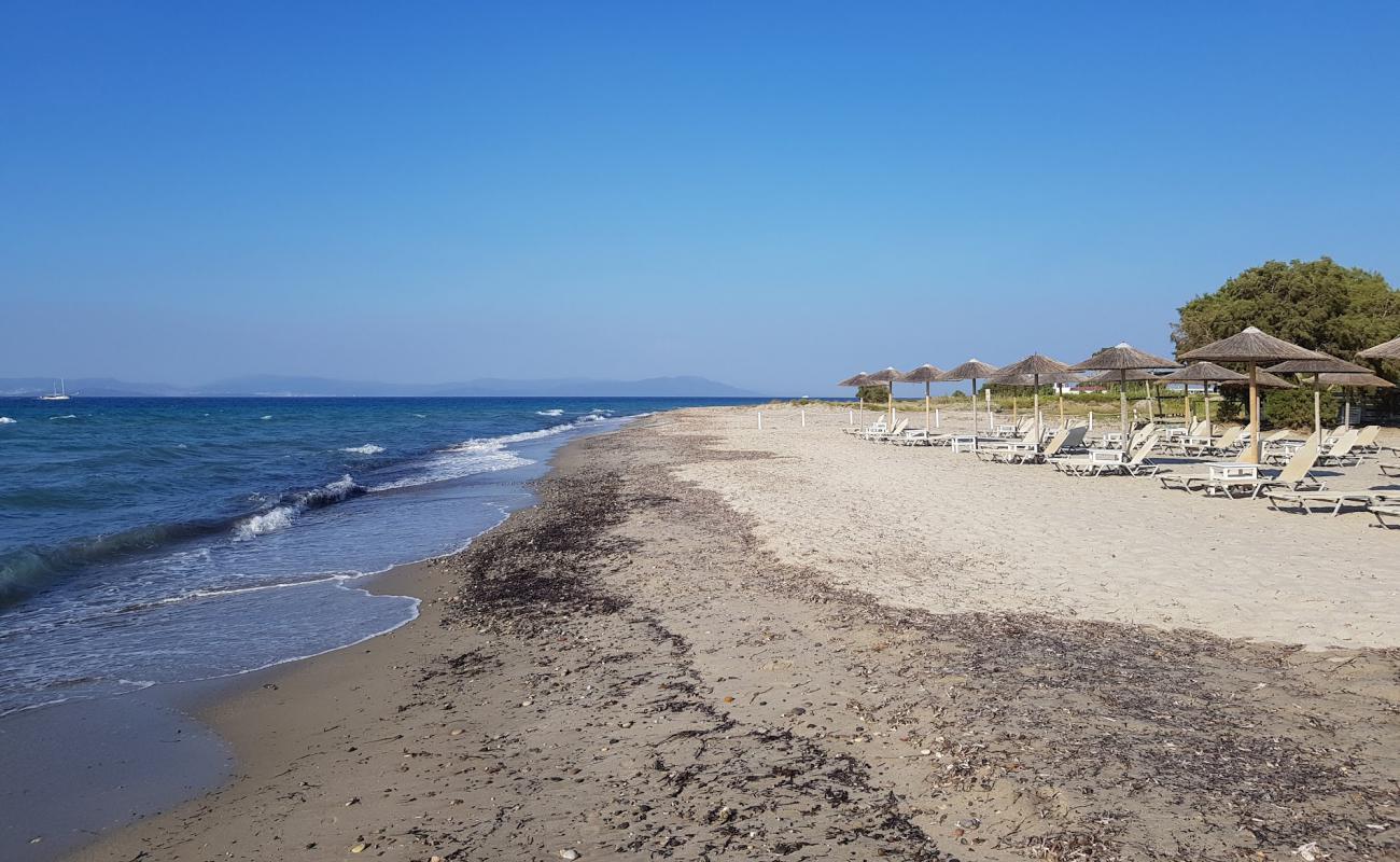 Aqua Blue beach'in fotoğrafı parlak kum yüzey ile