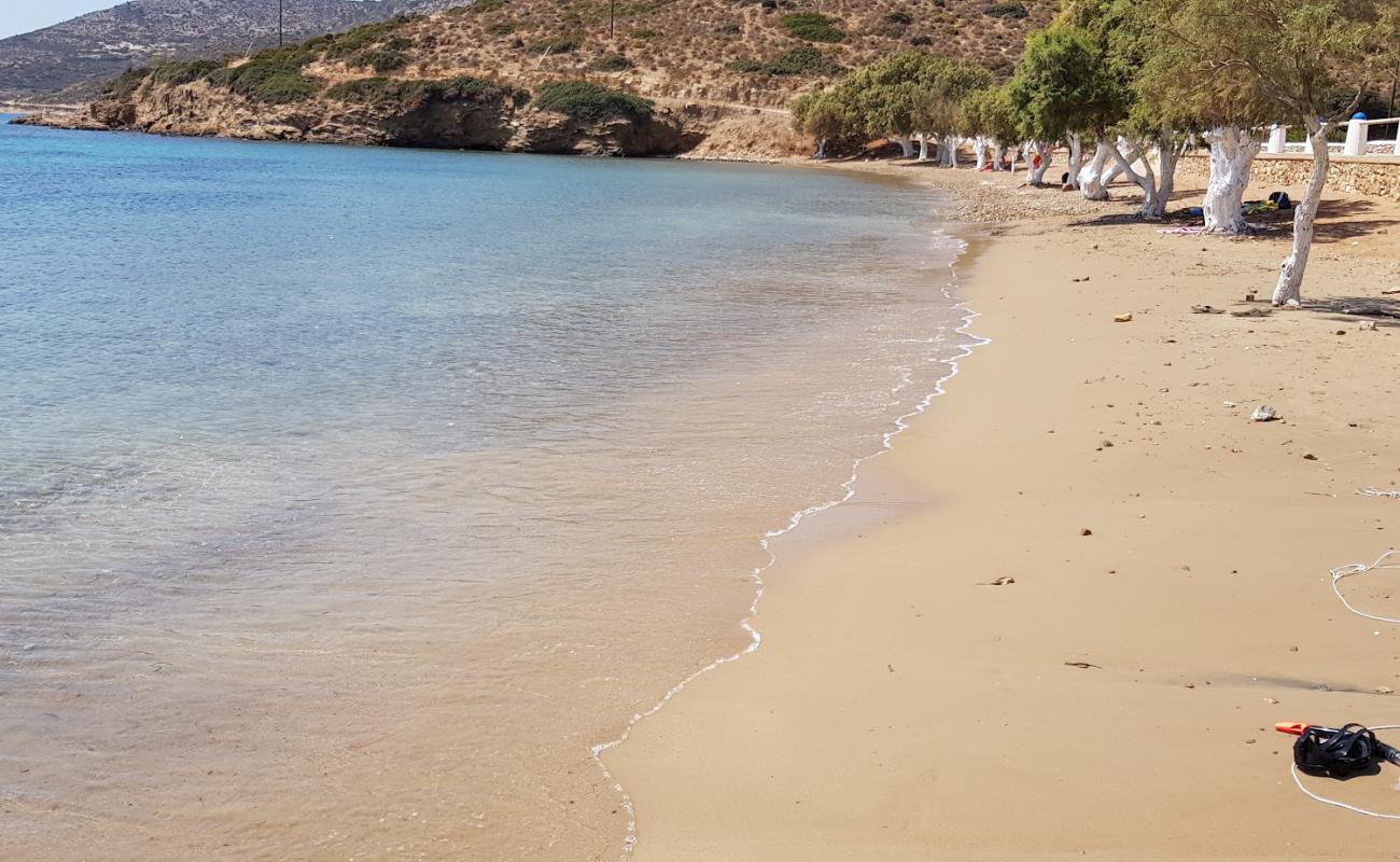 Lowland beach'in fotoğrafı gri kum yüzey ile