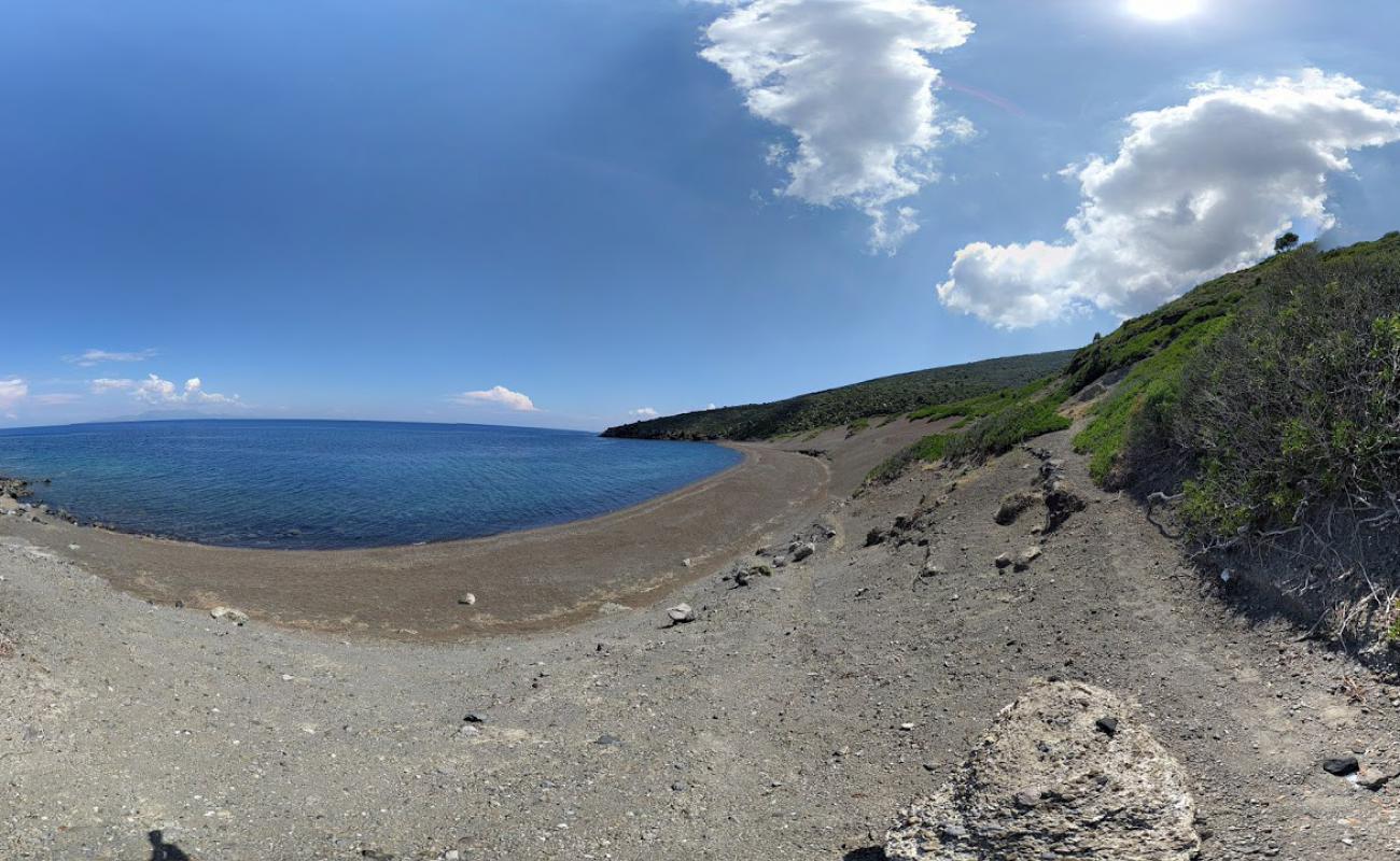 Pachia Ammos'in fotoğrafı kahverengi kum yüzey ile