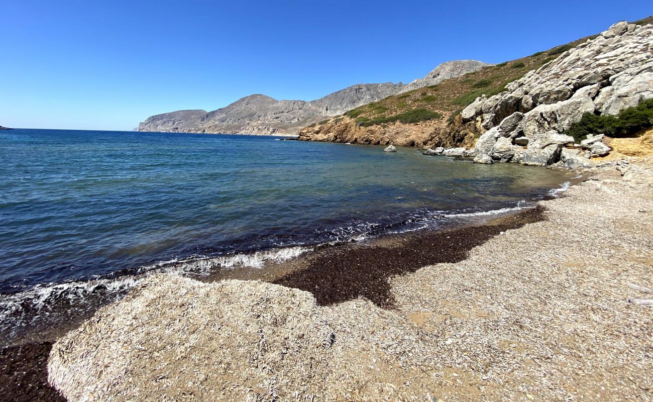 Alexis beach'in fotoğrafı taşlı kum yüzey ile