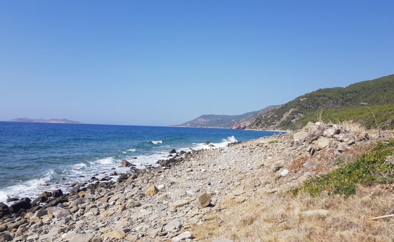 Paralia Glifada IV'in fotoğrafı kayalık arazi yüzey ile