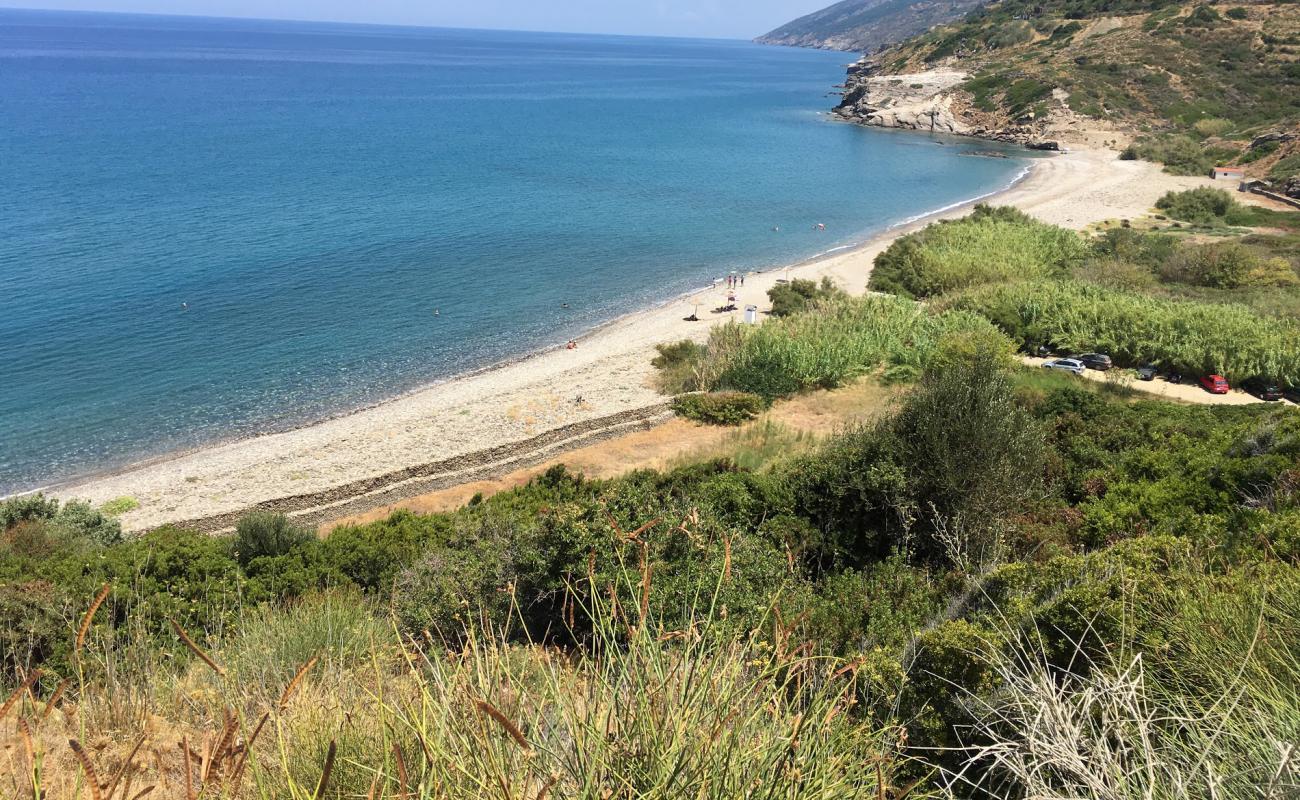 Paralia Kiparissi'in fotoğrafı hafif çakıl yüzey ile